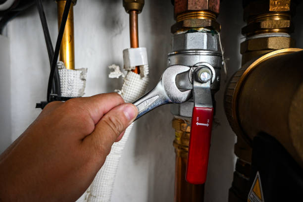 Best Toilet Repair Services  in Lake Cherokee, TX